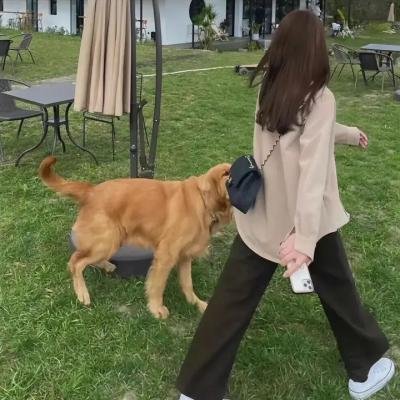 中国好声音第一季